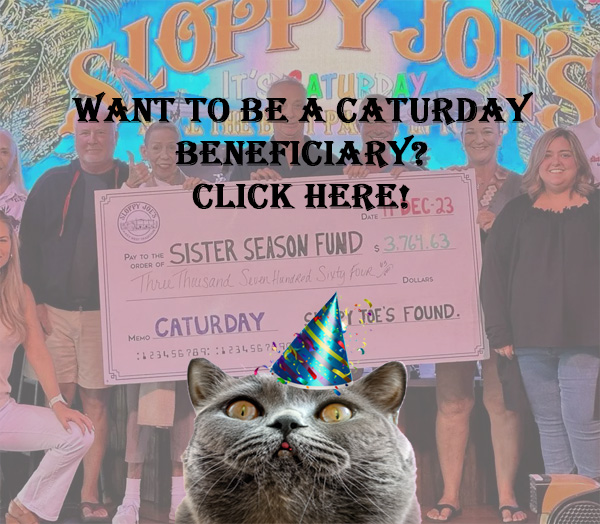 Apply to be a Caturday beneficiary.