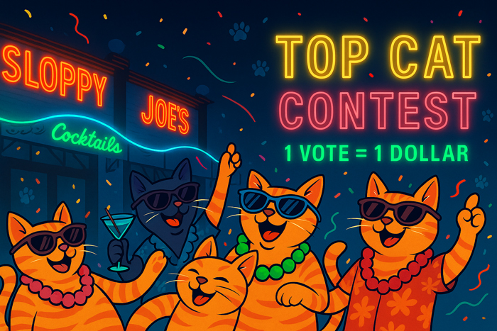 Top Cat Contest