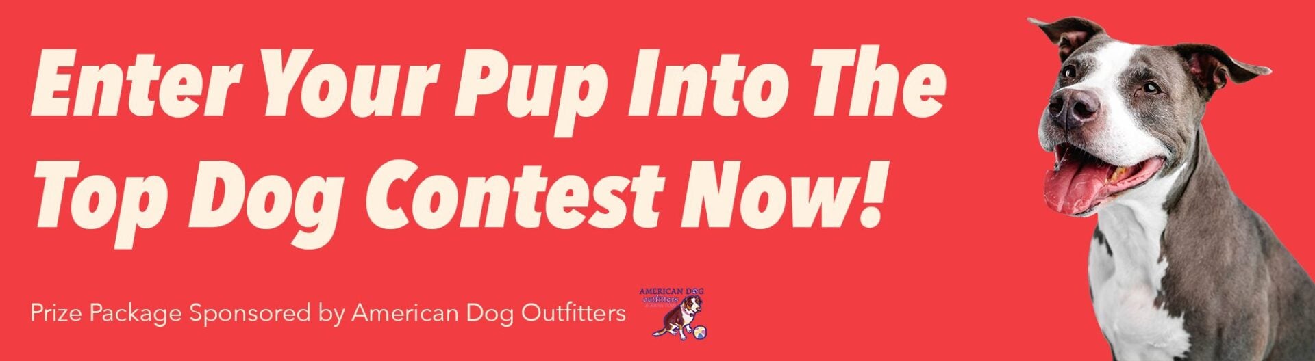 Is your pup the next Top Dog?