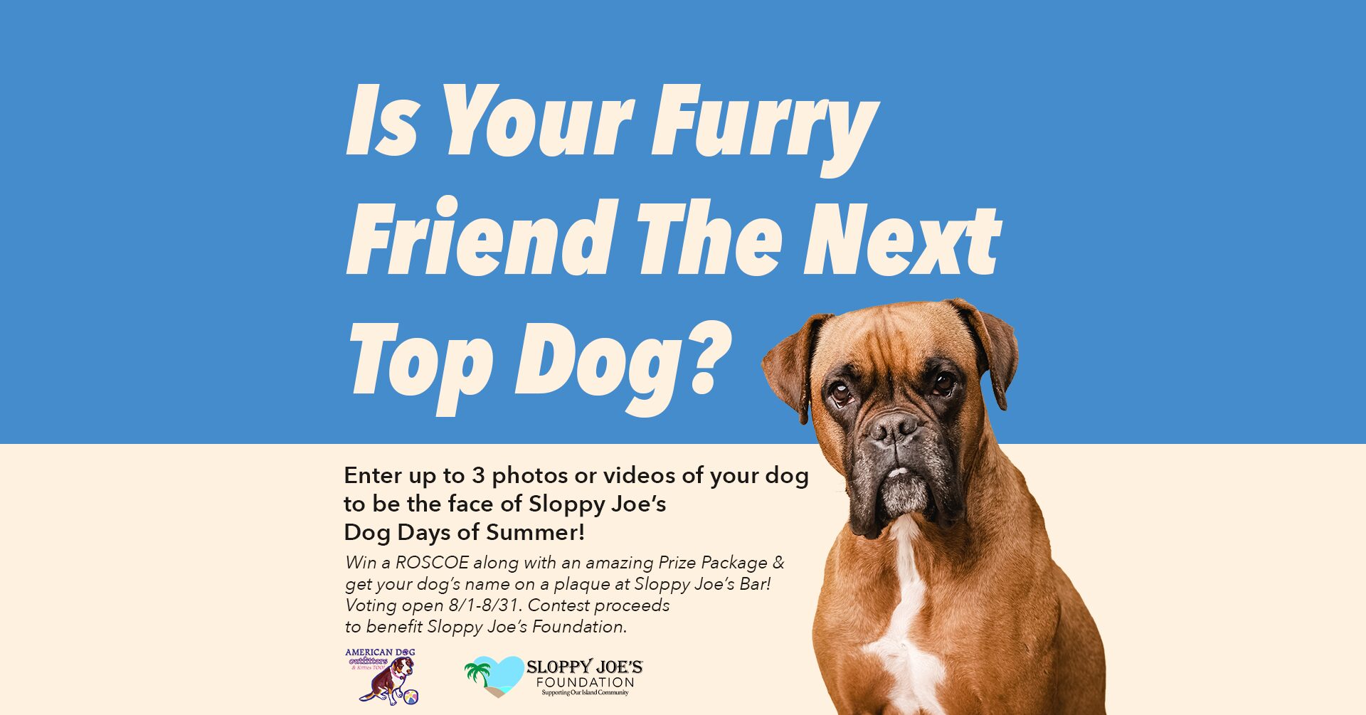 Is your pup the next Top Dog?